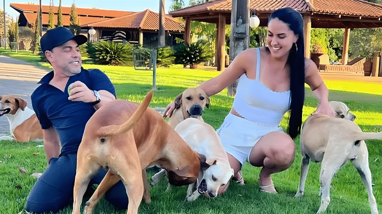 Zezé Di Camargo e Graciele Lacerda recebem animais em situação de rua Zezé Di Camargo e Graciele Lacerda recebem animais em situação de rua