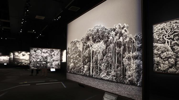 Exposição 'Amazônia', no California Science Center Exposição 'Amazônia', no California Science Center