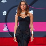 Quem se rendeu a Anitta