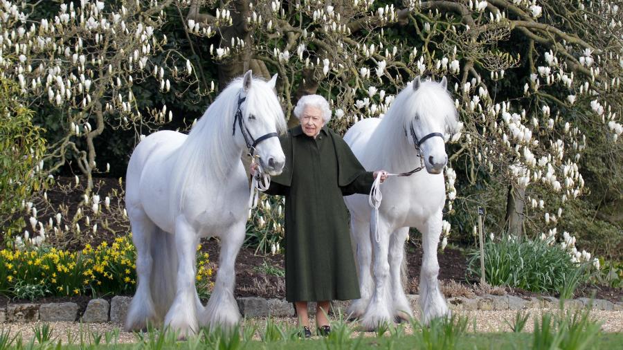 A rainha Elizabeth 2ª, do Reino Unido, posa entre cavalos no Castelo de Windsor - Reprodução/Twitter