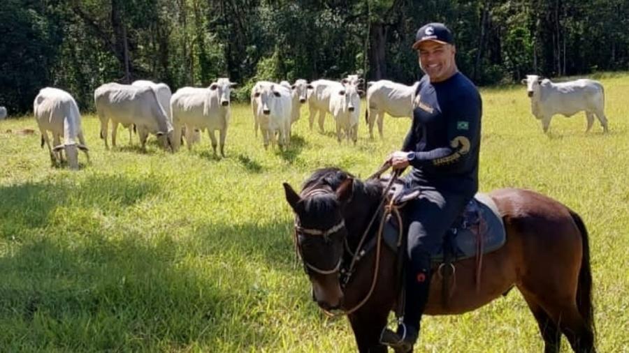 Longe da TV, Maurício Mattar cria cavalos em haras familiar Longe da TV, Maurício Mattar cria cavalos em haras familiar