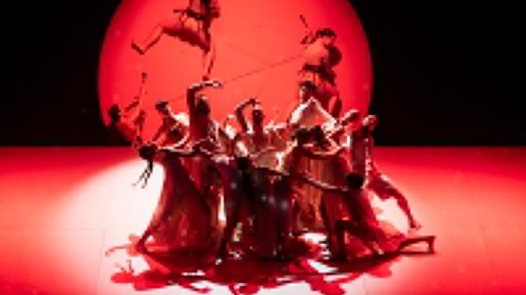 f - Reprodução - Reprodução