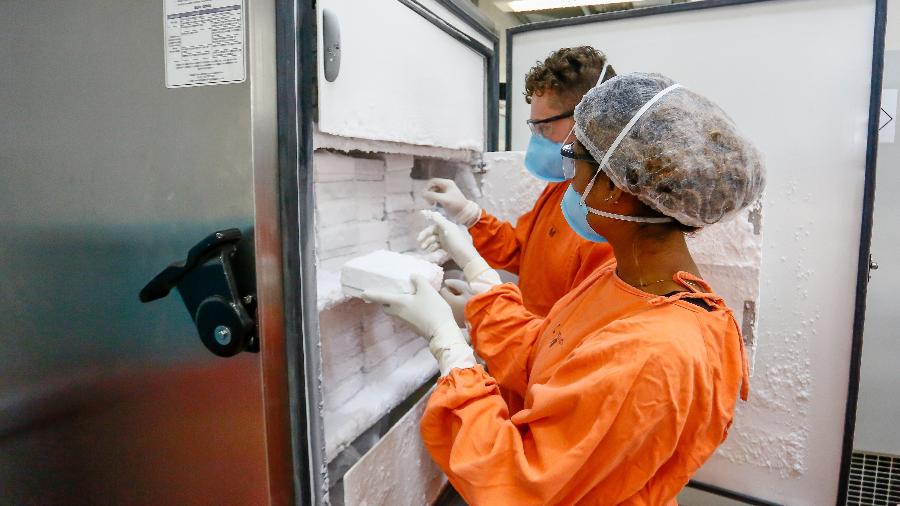Técnicos de laboratório da USP armazenam cérebros doados em freezer a -80°C - Flávio Florido/UOL