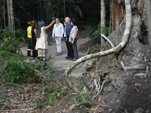 Doação de Biden à Amazônia equivale ao envio de um dia de armas a Israel