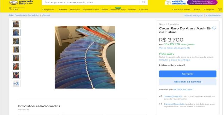 Cocar raro de arara azul à venda no Mercado Livre