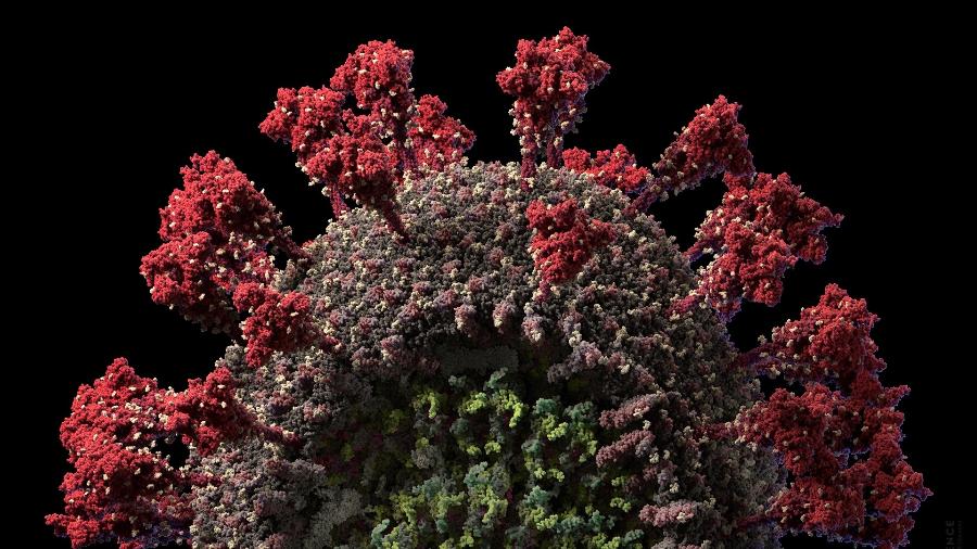 Imagem microscópica do Sars-CoV-2, como é chamado o novo coronavírus - CERN/ Sophia Elizabeth Bennett