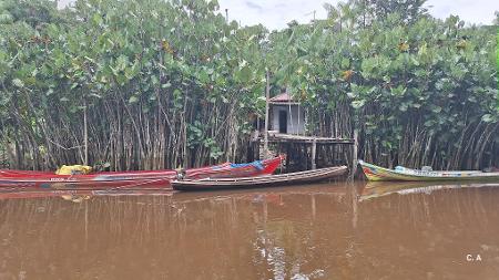 O acesso à maioria das comunidades de Oeiras do Pará só é possível por meio de barcos