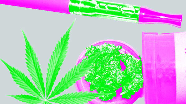 O barato da Cannabis