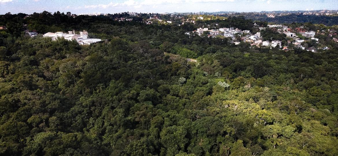 A última reserva de Mata Atlântica de Carapicuíba (SP) é cercada por condomínios residenciais - Gustavo Basso/UOL