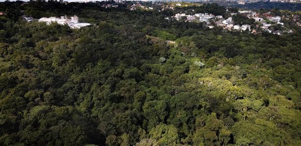 Moradores de Carapicuíba temem perder trecho de mata atlântica por