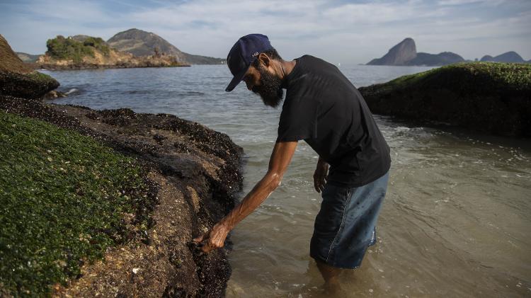 Cláudio Marsel (de camisa preta) cata mexilhões perto da caverna em que mora há mais de oito anos, embaixo do MAC-Niterói - Ricardo Borges/UOL - Ricardo Borges/UOL
