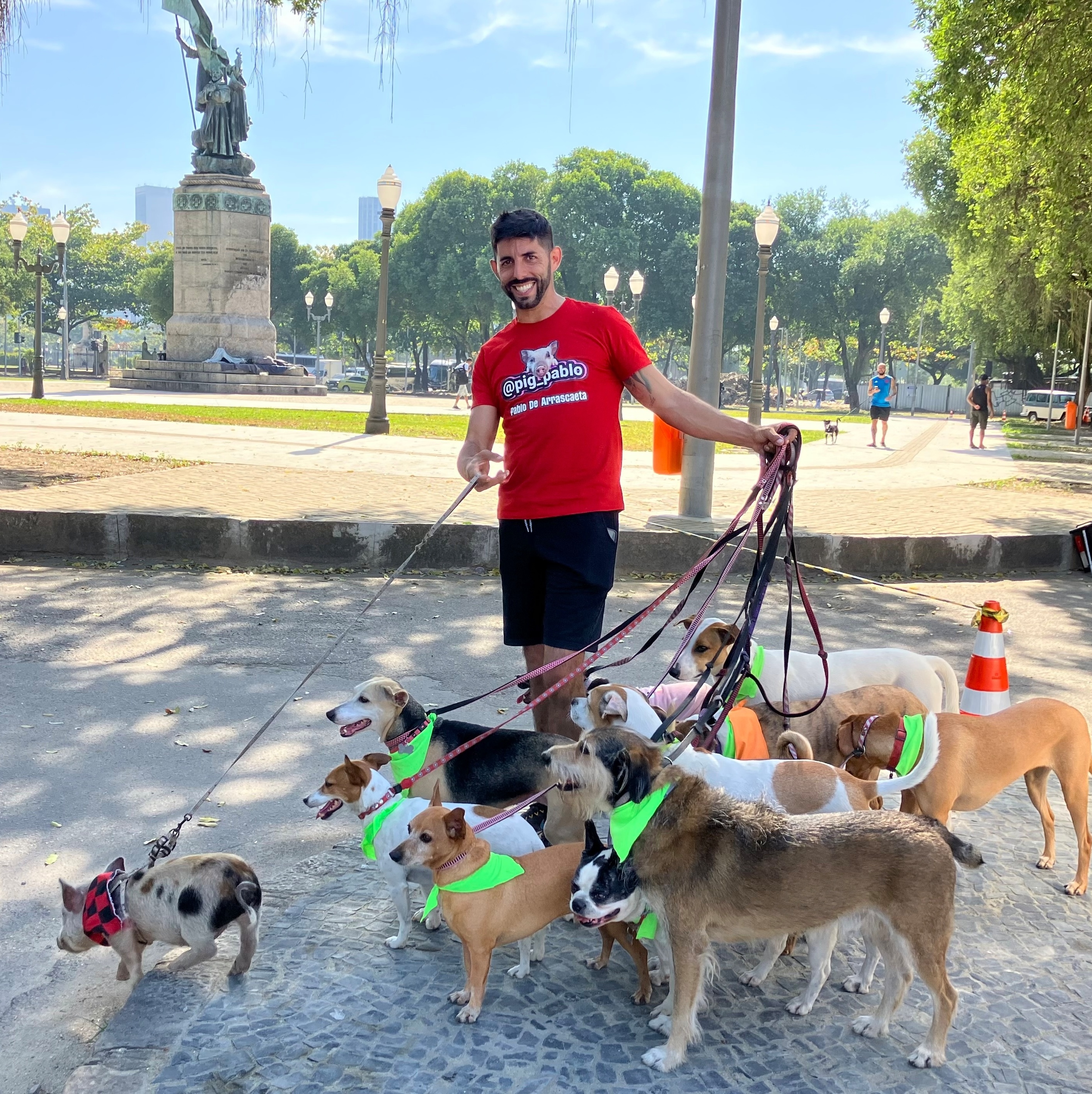 cachorros-no-parque - Matemática