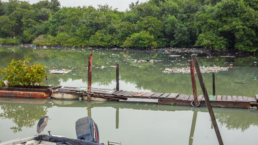 Manguezais cheios de lixo são uma constante na baía da Guanabara, como esse perto do canal do Cunha - Fabiana Batista/UOL