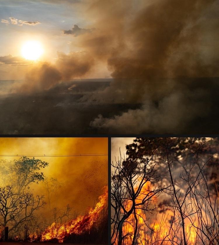 Vegetação de área de cerrado em chamas