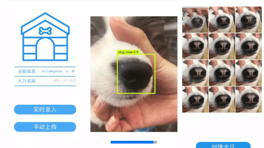 Aplicativo chinês usa reconhecimento facial para rastrear cães - Reprodução