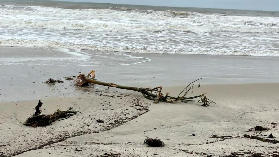 Situação da praia de Maresias (SP), após o temporal de sábado (18) - Tatiana Schibuola/UOL