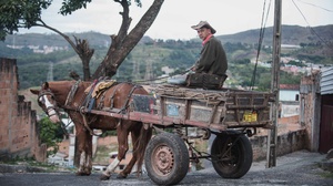 Alexandre Rezende/UOL