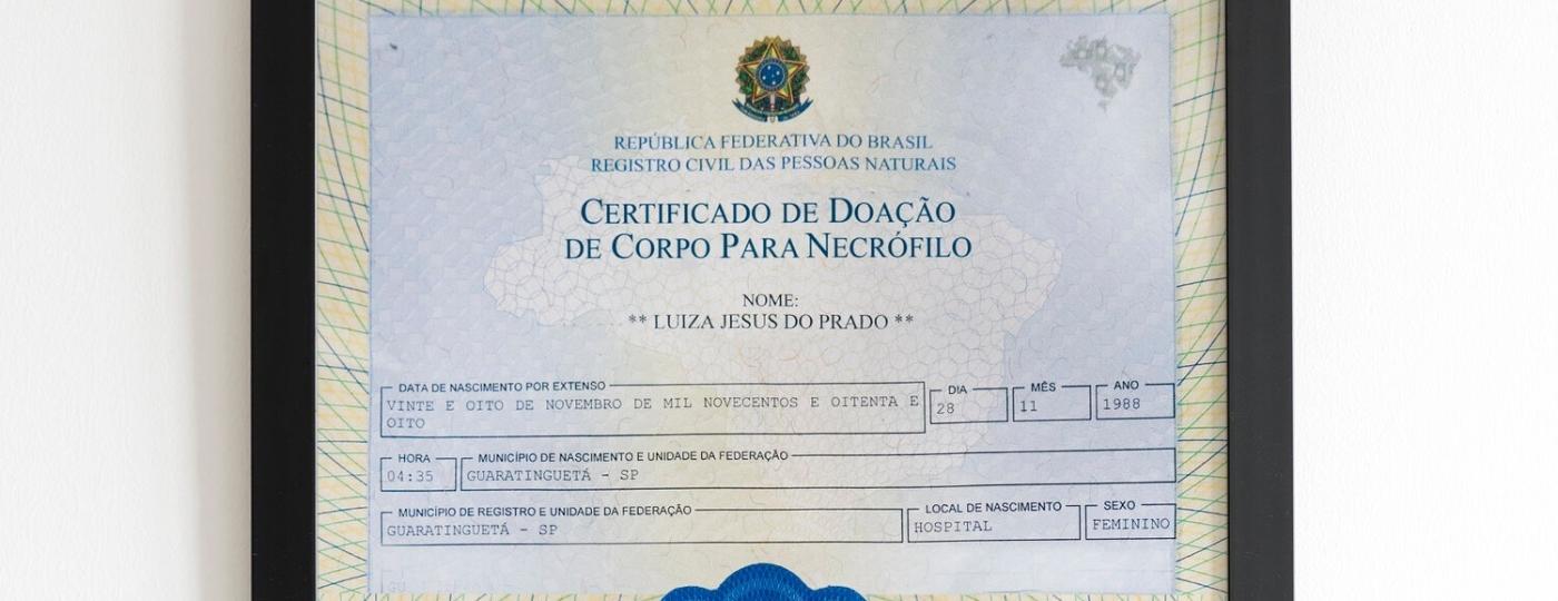 Certificado de doação do corpo da artista Hifa Cybe para um necrófilo, elaborado com a ajuda da estudante de Direito Isabella Lauermann - Hifa Cybe/Divulgação