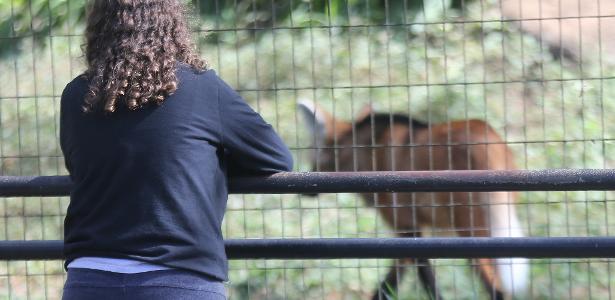 Por que os zoológicos estão em xeque no Brasil e no mundo? - Vimarsana News