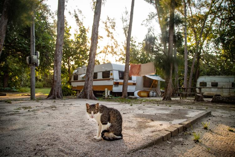 A gata Damares vive com Humberto Fidelix em trailer, estacionado em um camping no Rio de Janeiro - Zô Guimarães/UOL - Zô Guimarães/UOL