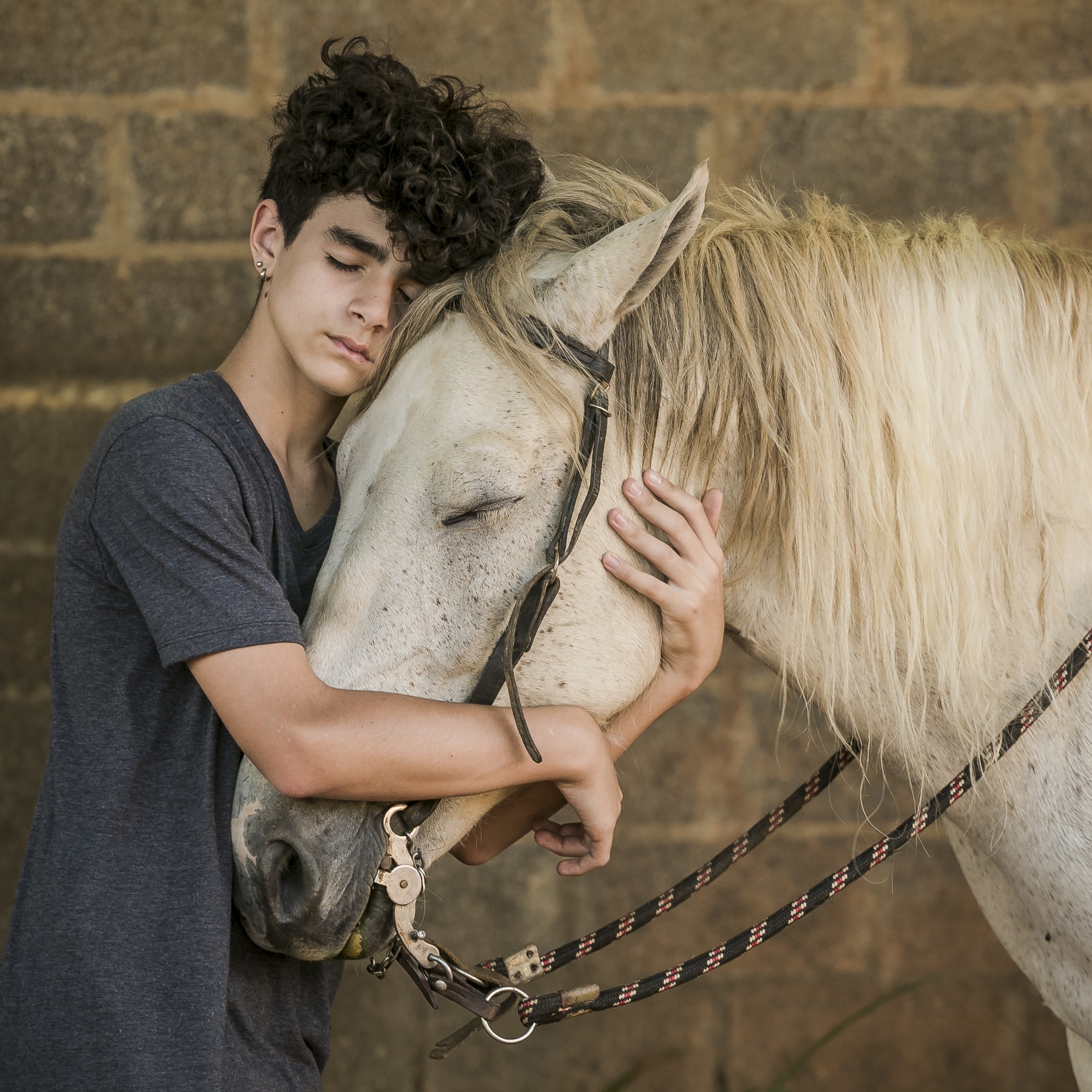 Querem matar o meu cavalo