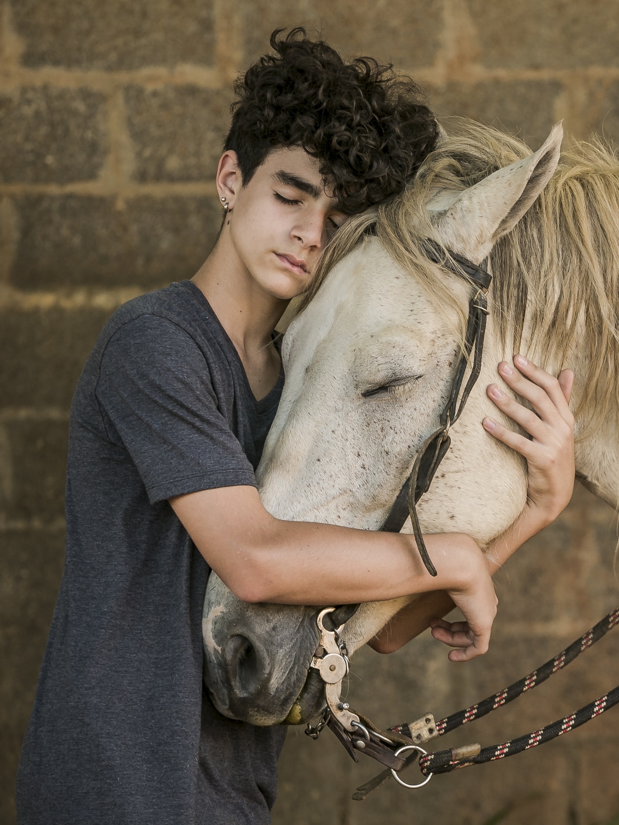 A saga de Chapado, cavalo abandonado e ferido, adotado no interior