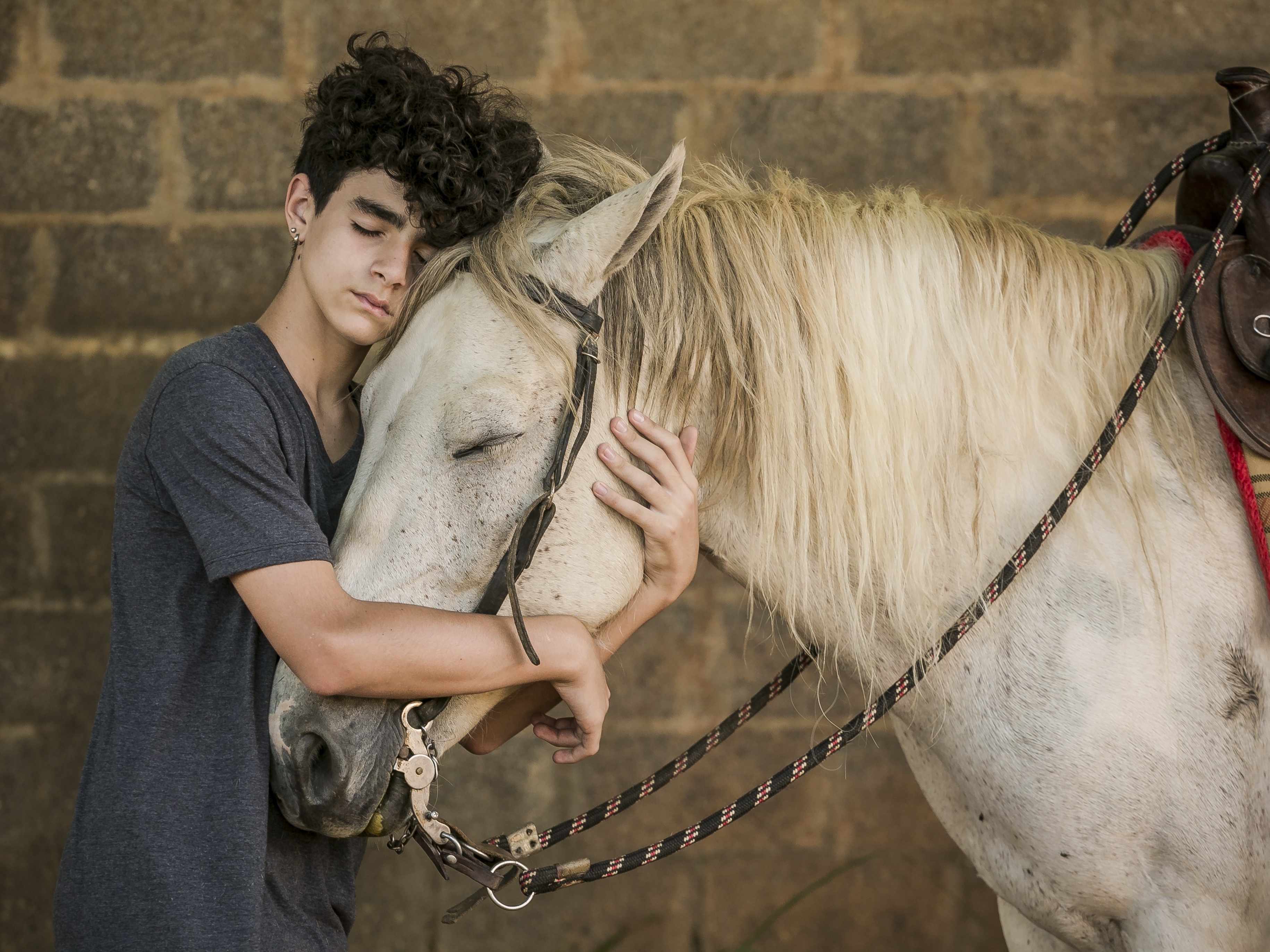 O Cavalo d'Água filme - Veja onde assistir