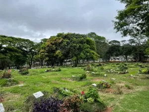 'Cresci aqui': jardineiros temem ser demitidos de cemitérios de São Paulo