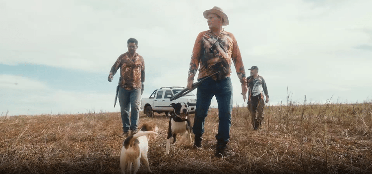 Tonho da Silva e seus companheiros de caçada: 'Tem fazendeiro que chegou a perder 40% da produção'