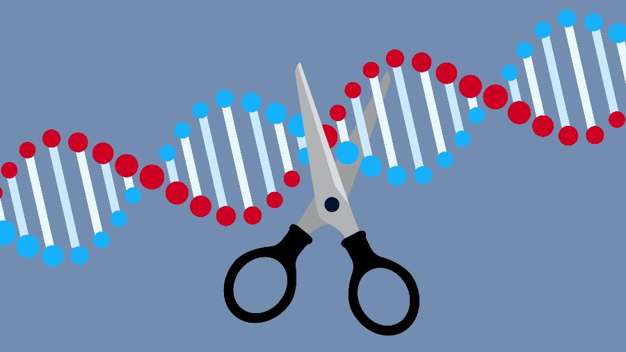 Nova tecnologia - chamada "prime editing" - é descrita como "editor de texto genético" capaz de reescrever o DNA de forma precisa - Getty Images