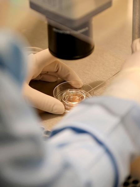 A Associação Nacional de Infertilidade (Resolve) indicou que a decisão do Alabama poderia ter "consequências devastadoras" para as clínicas de fertilidade desse estado sulista que oferecem fertilização in vitro (FIV)