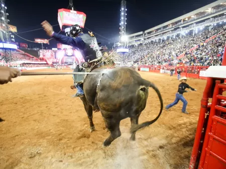 Arena de rodeio também é lugar de mulher - Notícias