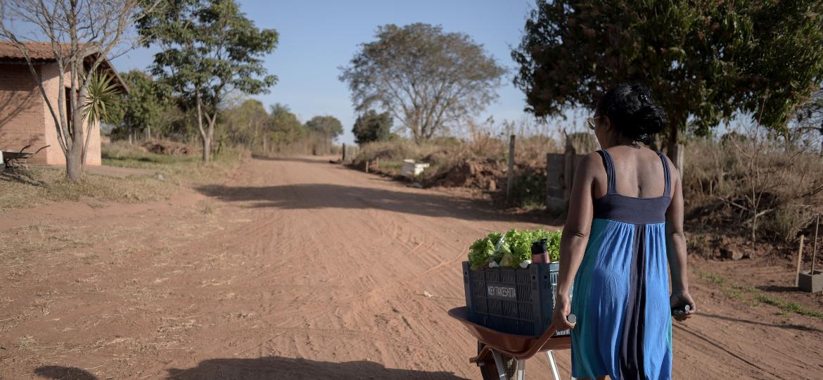 De Limeira (SP), o pequeno coletivo Elizabeth Teixeira cultiva alimentos agroecológicos e orgânicos, e entrega cestas encomendadas por alunos da Unicamp - Karina Iliescu/UOL
