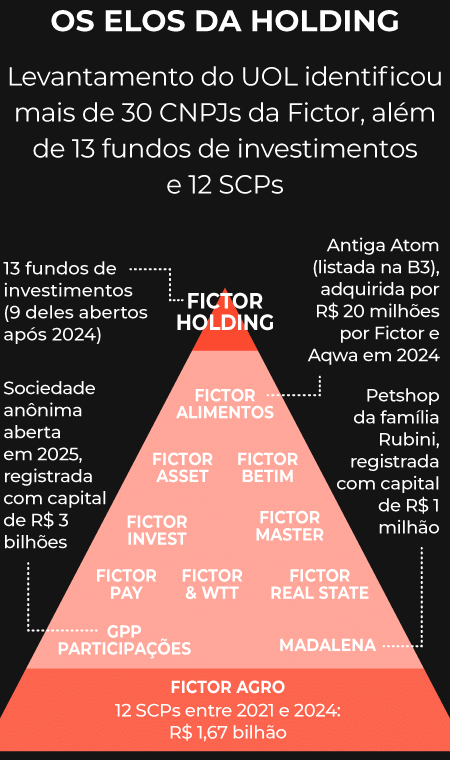 Os elos da holding mob - undefined