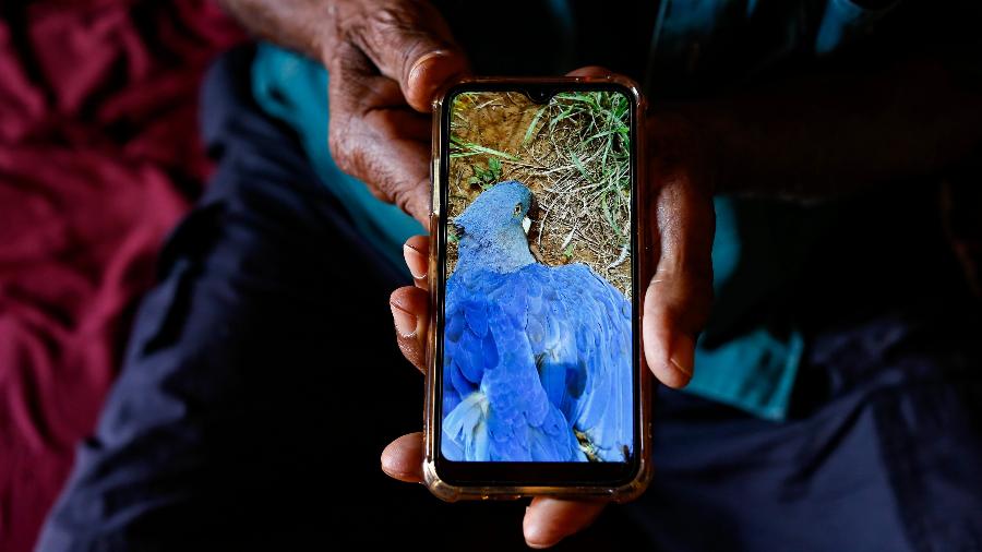 José Dantas, 77, morador da zona rural de Euclides da Cunha, já encontrou aves mortas na região - Rafael Martins/UOL