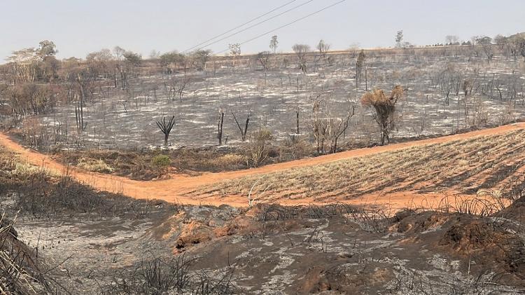 14.set.2024 - Área de canavial queimada durante incêndio na região de São Carlos (SP)