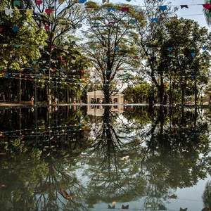 Instituto Butantan