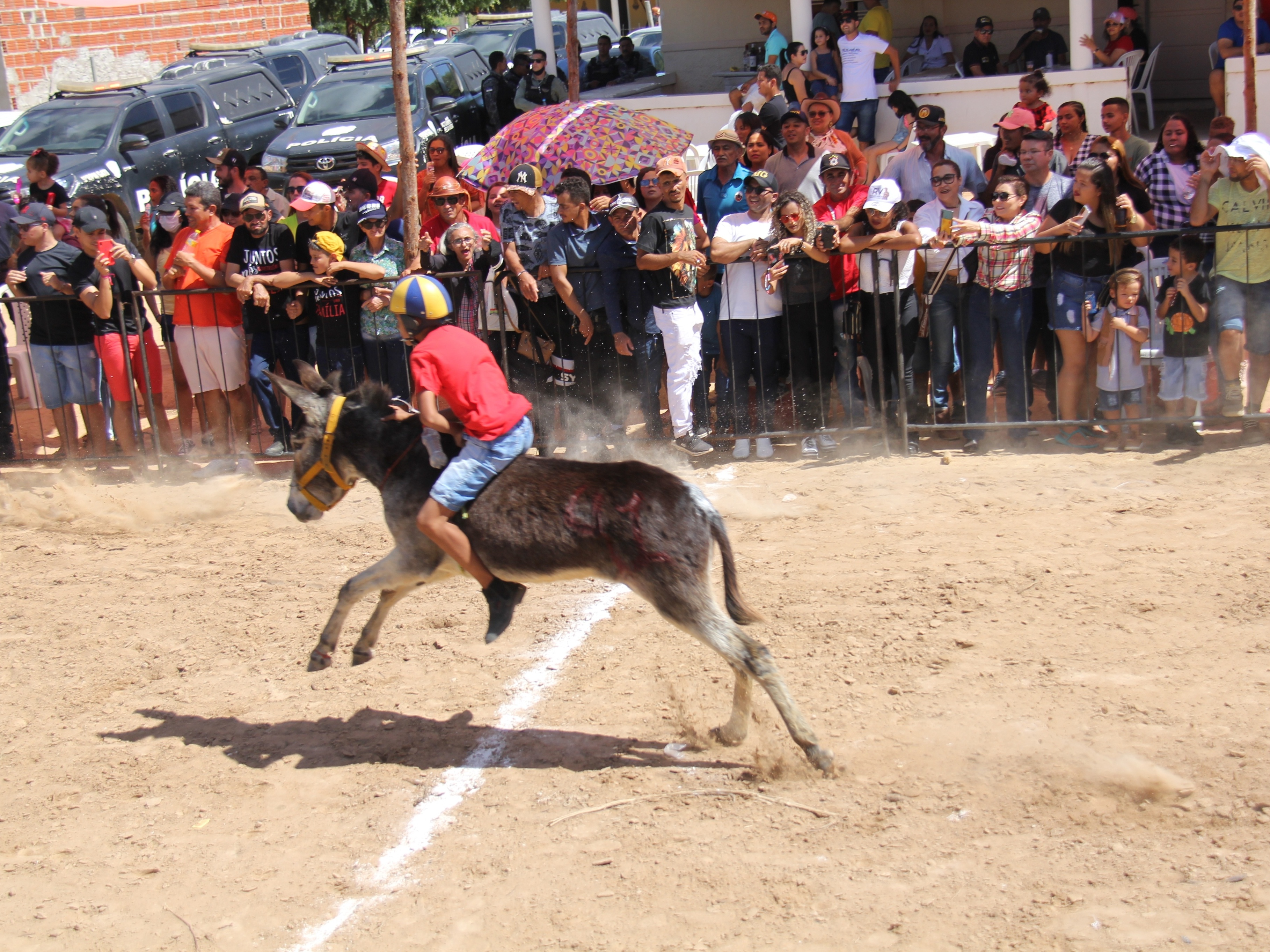 Nova pista de corrida. 4 carros coloridos. Animação infantil