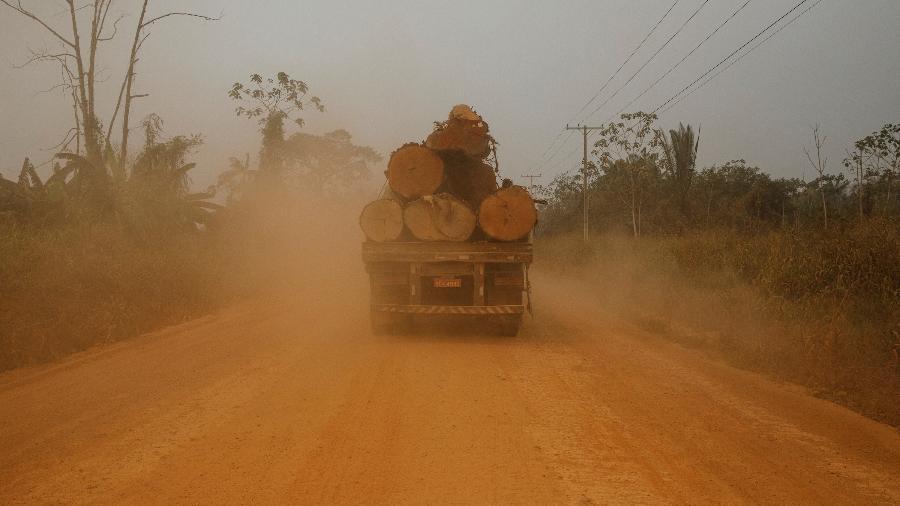Caminhão carrega toras de madeira em trecho sem asfalto da BR-319, no Amazonas. Pavimentação da rodovia acentuaria o desmatamento e favoreceria 'saltos' de vírus de animais para humanos