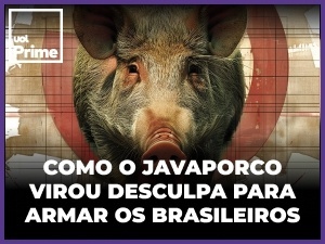 Caça ao animal ocultou fraudes na compra e no acesso a armas