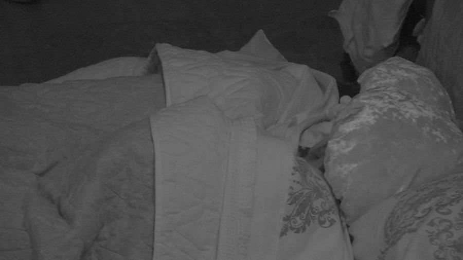 Emilly e Marcos movimentam o edredom do "BBB17" - Reprodução/TV Globo