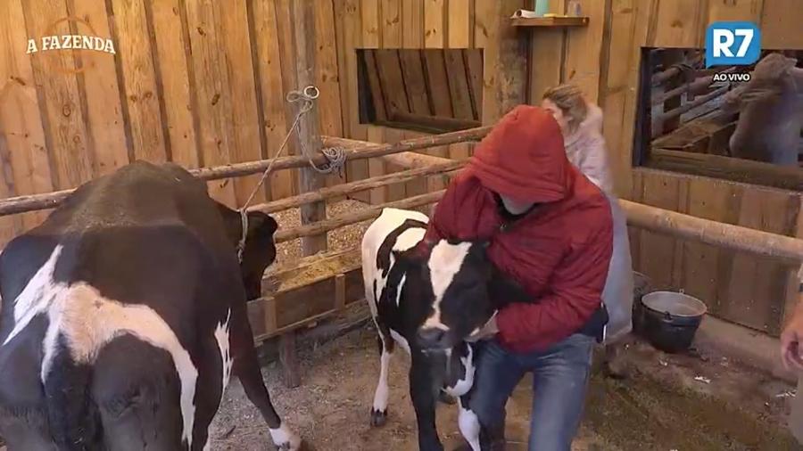 Novo fazendeiro, Yuri Fernandes ajuda Ana Paula e Marcos com trato da vaca - Reprodução/R7