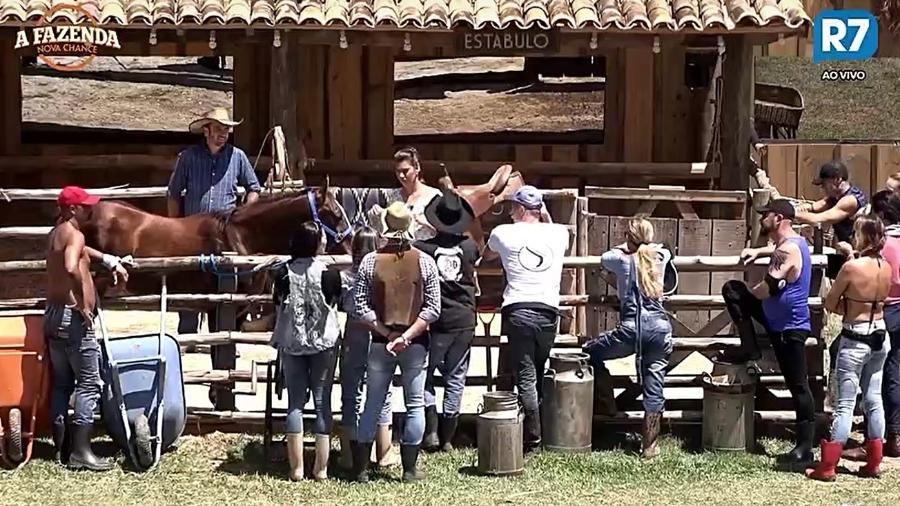 Peões aprendem a cuidar do cavalo da sede - Reprodução/R7