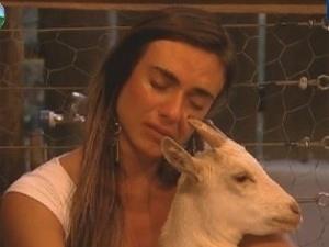 A fazenda barney 1 - Reprodução / Record TV - Reprodução / Record TV