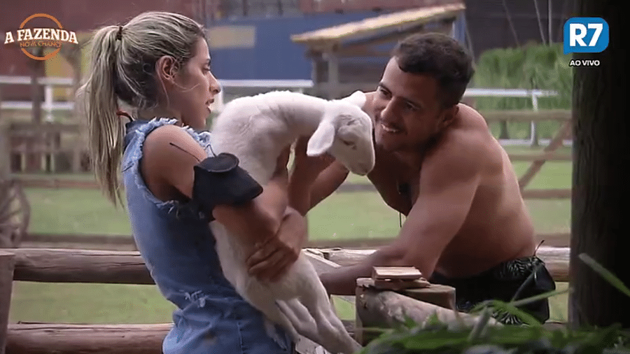 Matheus e Ana Paula Minerato cuidam das cabras - Reprodução/R7