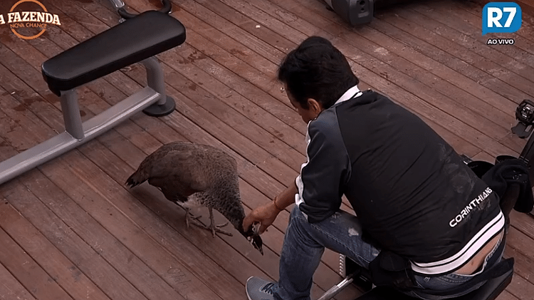 Peoa da fazenda  - Reprodução/R7 - Reprodução/R7