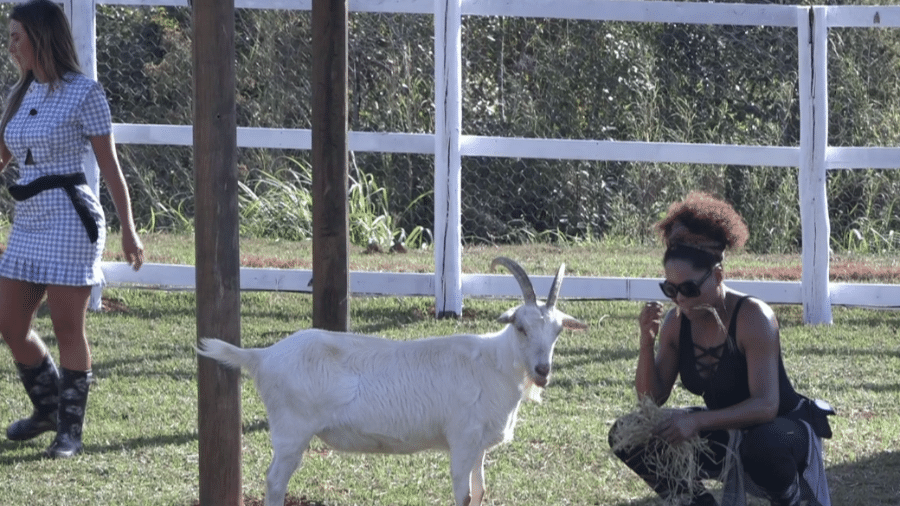 Em "A Fazenda 9", Bombom experimenta comida dos animais - Reprodução/Record