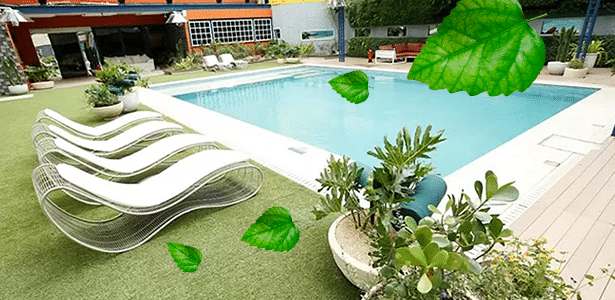 Diva casa sem Ana - folhas - Reprodução/TV Globo e Montagem/Diva Depressão - Reprodução/TV Globo e Montagem/Diva Depressão