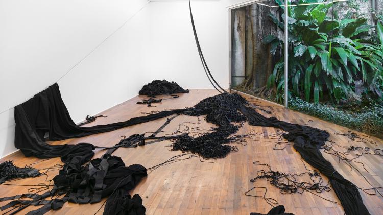 Mendes Wood - Divuklgação - Divuklgação