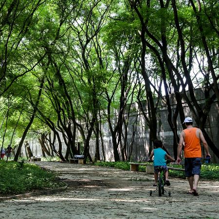 Parque da Juventude, na zona norte de São Paulo, será reaberto na segunda-feira (20) - Divulgação